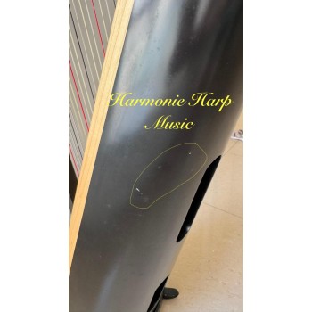 SOLD - 2nd Hand Harp - Lyon & Healy Ogden 34 SOLD - 2nd Hand Harp - Lyon & Healy Ogden 34